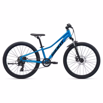 Giant Talon 24 Disc