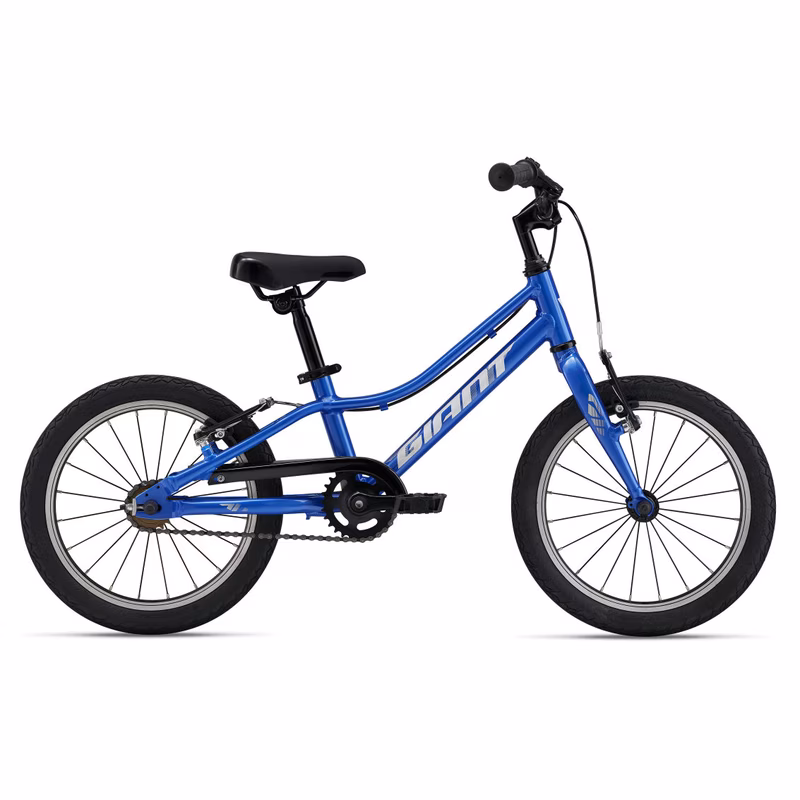 Giant ARX 16 F/W Cobalt 2026