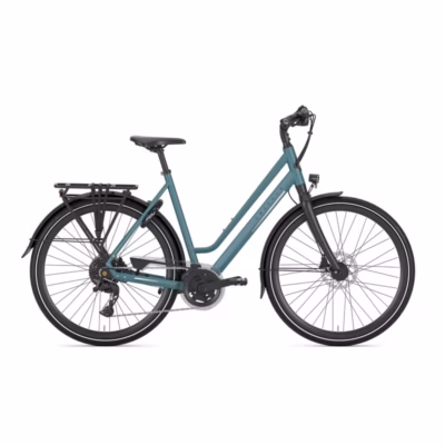 Gazelle Chamonix T20 Thunder Grey damski 2026