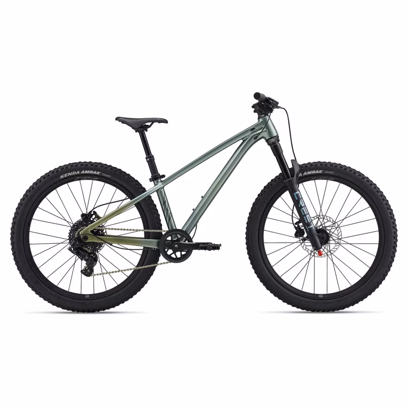 Liv STP 24 Liv Alpine Green 2026