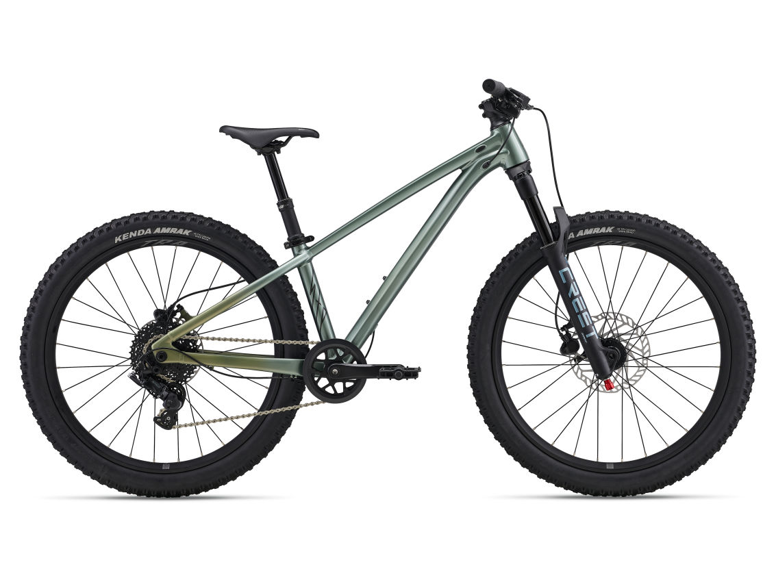 Liv STP 24 Liv Alpine Green 2026 - obrazek 1