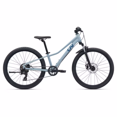 Liv Tempt 24 Disc Dusty Blue 2026
