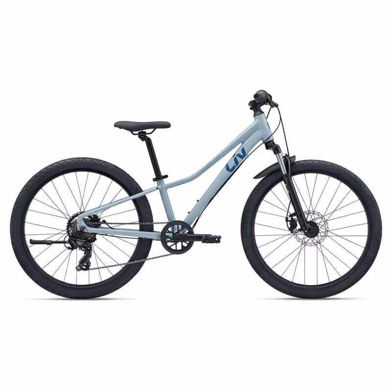 Liv Tempt 24 Disc Dusty Blue 2026