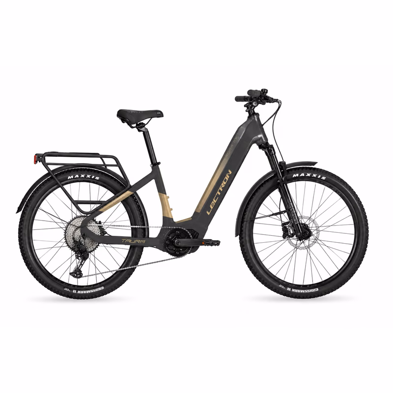 Lectron Taura PX Rama 17" Panasonic