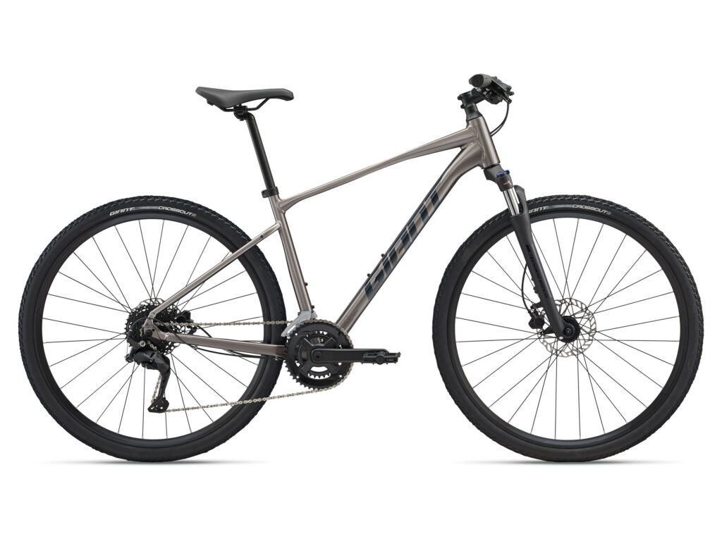 Giant Roam 3