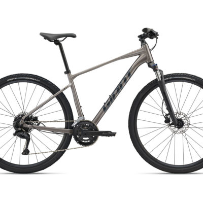 Giant Roam 3